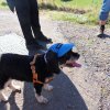 2012-11-le fromage_62